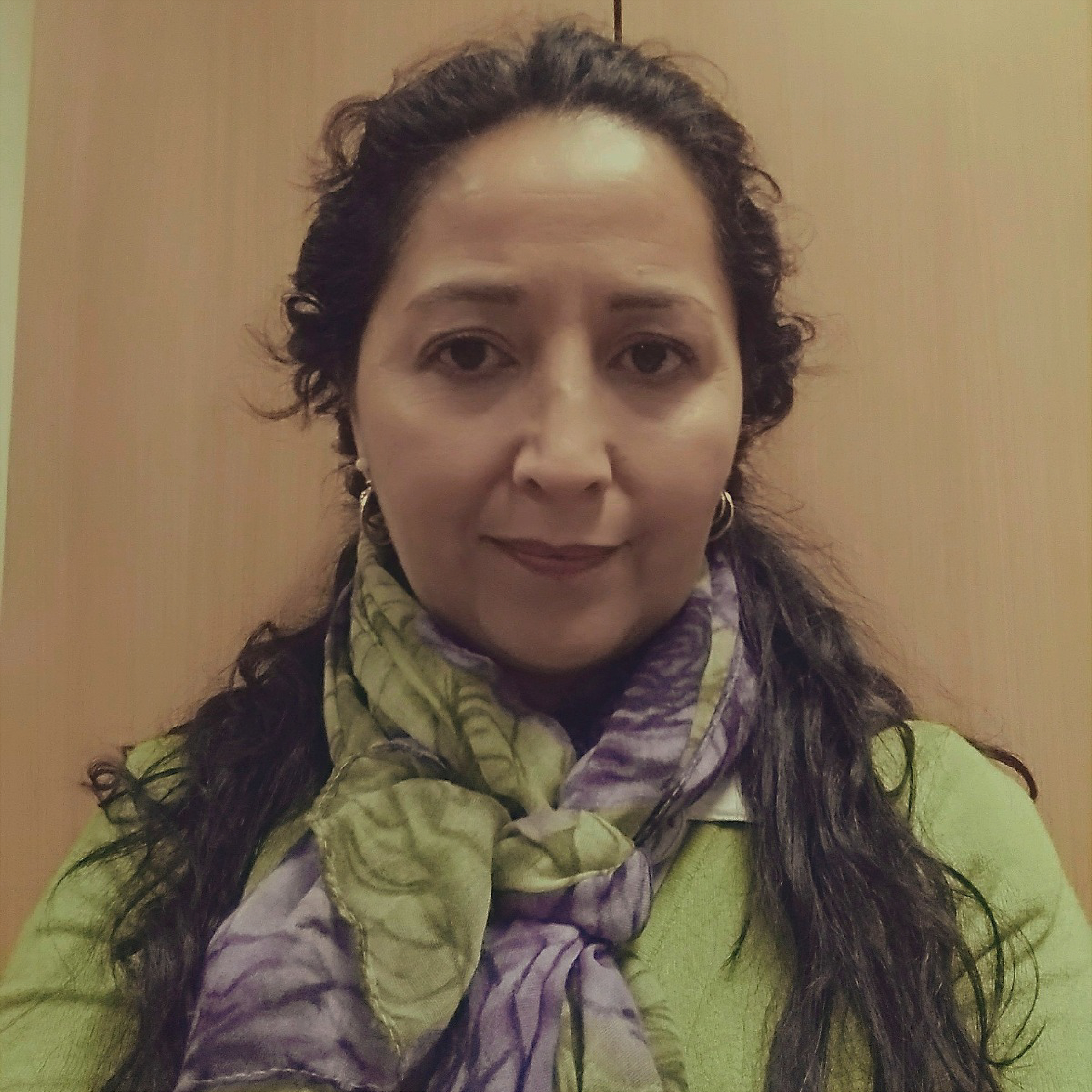 ALEJANDRA OLAVARRÍA