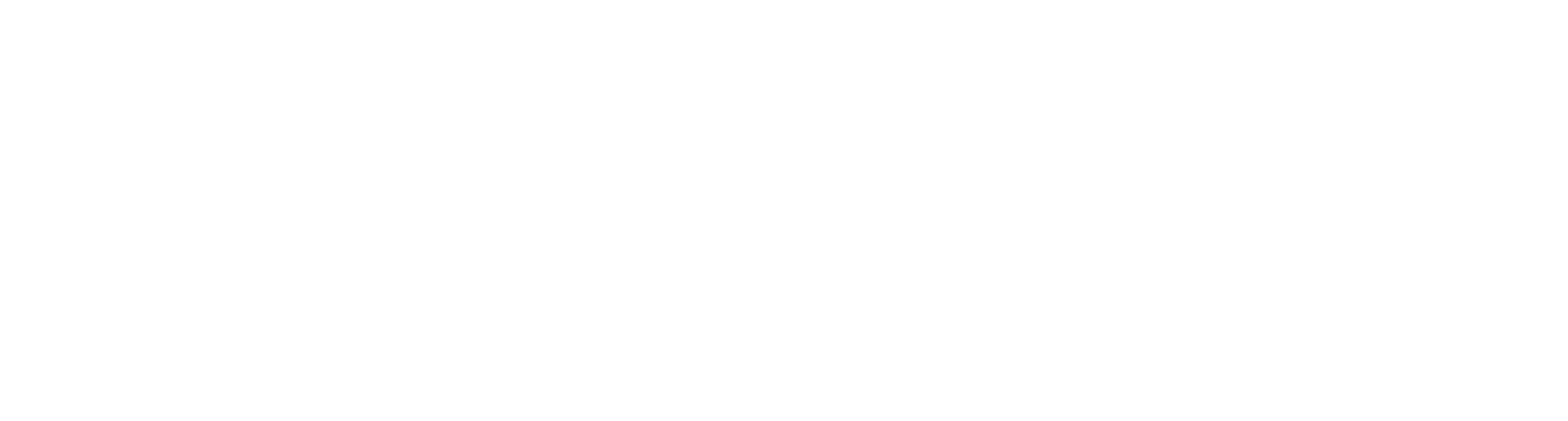 logo blanco-09
